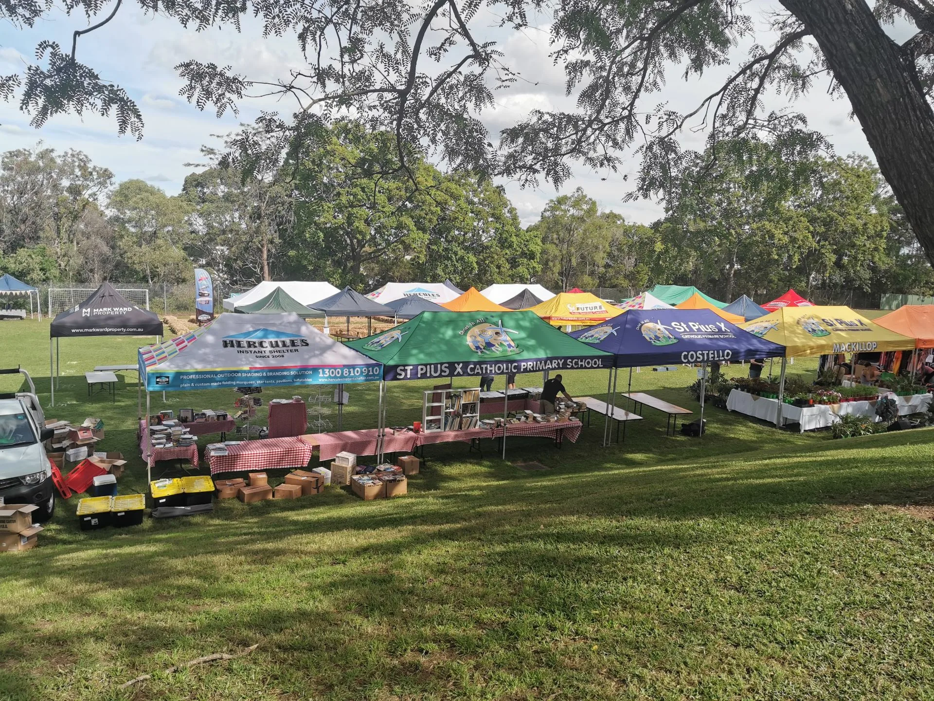 QQ图片20190527171214