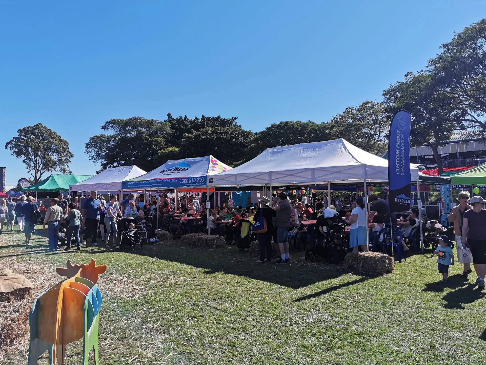 QQ图片20190527171242